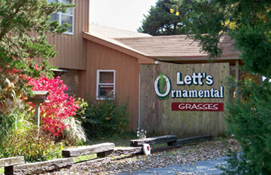 Lett's Ornamentals Grasses & Nursery